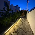 Hotel Arti Butik *