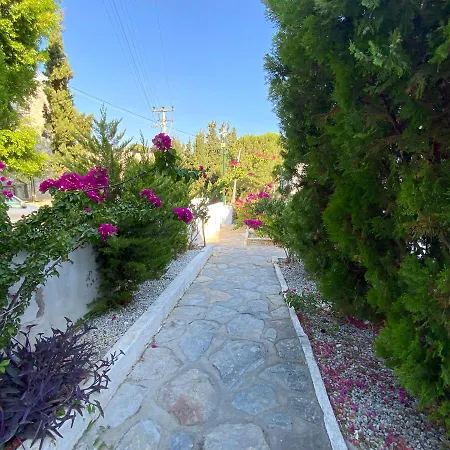 Artı